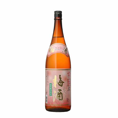 本坊酒造 寶星本格梅酒無添加 Hombo Plum Wine