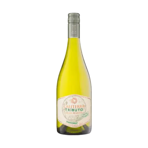 卡麗德拉酒莊 致敬風土系列 單一葡萄園 夏多內白酒 Caliterra Tributo Chardonnay